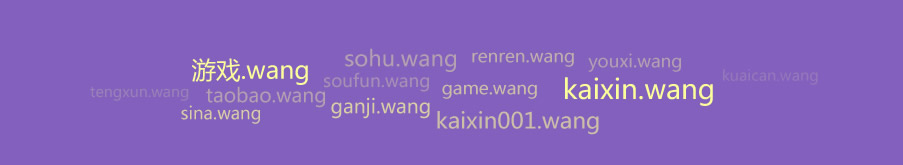 資(zi)源豐(feng)富(fu),典藏衆多(duo)“王牌域(yu)名(míng)”